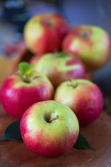 Fototapeta na wymiar harvest of apples