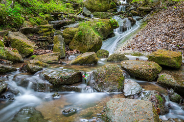 Fototapeta premium Waterfall in forest