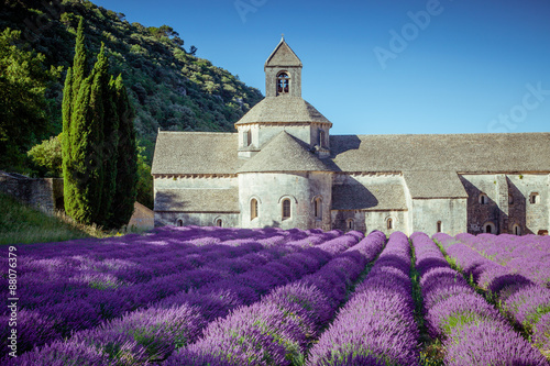 Lavender Field, Abbey of Senanque, Near Gordes, Provence, France без смс