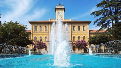 Le fontane di Cattolica