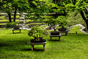 Japanese motives in Albert Kahn Park. Boulogne-Billancourt Paris