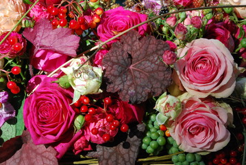 Blütenfülle in pink