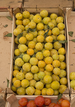 Fresh yellow plums in a market.
