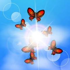 Fototapeta na wymiar Pattern butterfly in the sky.