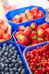 Frische Erdbeeren, Johannisbeeren und Blaubeeren in Schalen