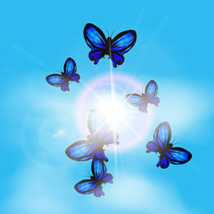 Obraz na płótnie Canvas Pattern butterfly in the sky.