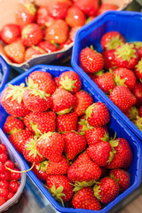 Frische Erdbeeren in Schalen