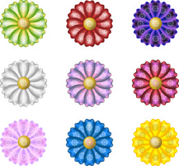 flowers with silk petals
