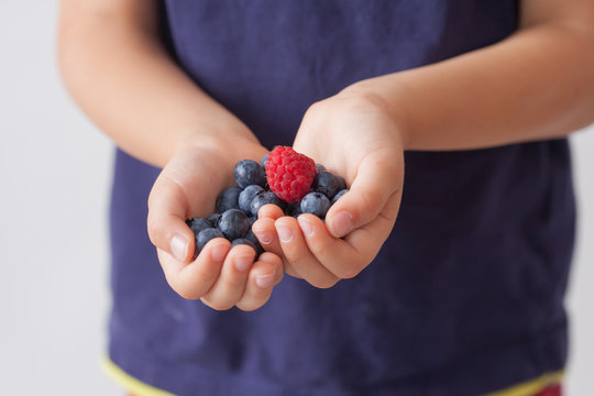 Child, holding raspberries and blueberries, isolated on white