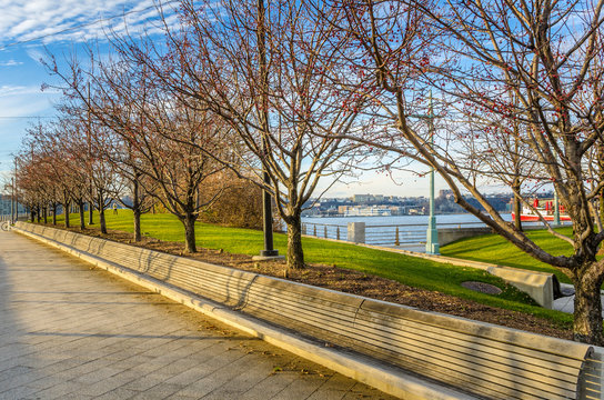 Long Wooden Bench In A Riverside Park In New York