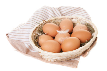 Fresh organic eggs