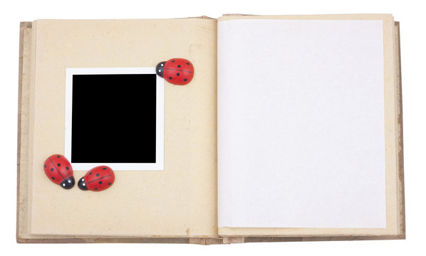 Photo frame with lady beetle