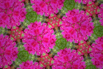 Obraz premium Цветочная клумба фэнтези. 1 