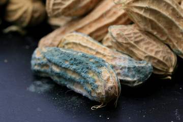 heap of moldy peanuts on a black background