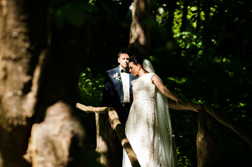 Gorgeus wedding couple on green sunny forest