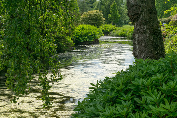 River amongst trees in garden