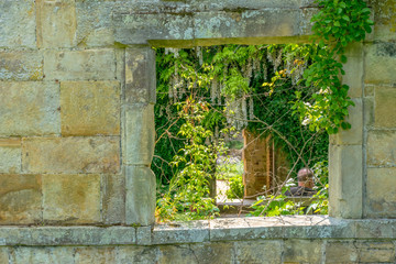 Window view in garden