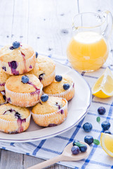 Blueberry Muffins