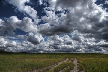 Fototapeta na wymiar Campo agrícola con un hermoso cielo lleno e nubes