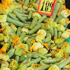 Zucchini