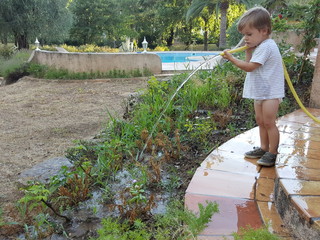 Petit garçon qui arrosé un jardin