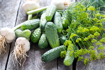 fresh cucumbers on wooden table