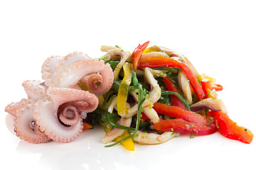 baby octopus with salad isolated on white background