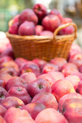 Organic apples in basket in summer grass. Fresh apples in nature