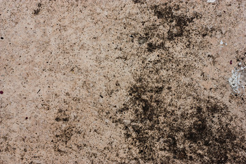 Textured walls with dirt.