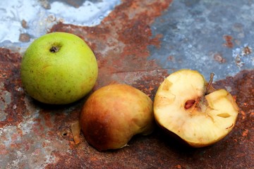 rotten apple green