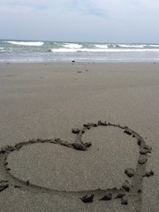 海