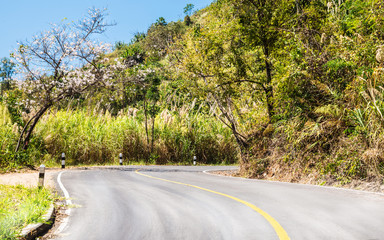 nature trails , Thailand 