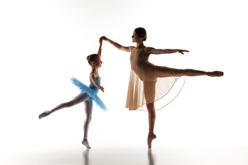 Obraz na płótnie Canvas The little ballerina dancing with personal ballet teacher in