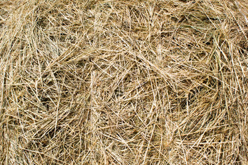 Naklejka premium Golden autumn fall hay straw texture background wallpaper