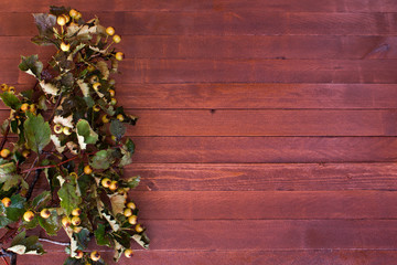 Hawthorn twigs  on a wooden with copy space