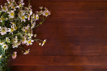 Bouquet of Garden Small Camomiles  on Rustic Wooden background with copy space