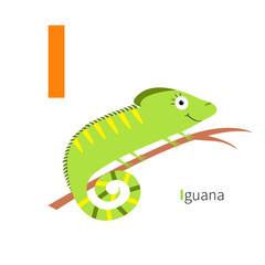 Letter I Iguana Zoo alphabet. English abc with animals Education cards for kids Isolated White background Flat design
