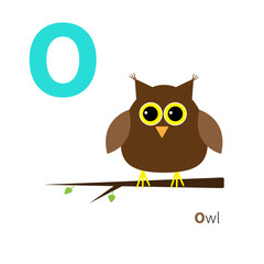Letter O Owl Zoo alphabet. English abc with animals Education cards for kids Isolated White background Flat design