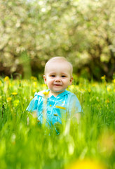 little boy spring portrait