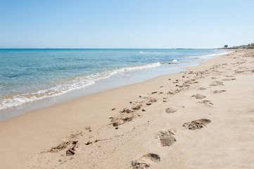 Fototapeta na wymiar Beautiful tropical beach with turquoise water and white sand