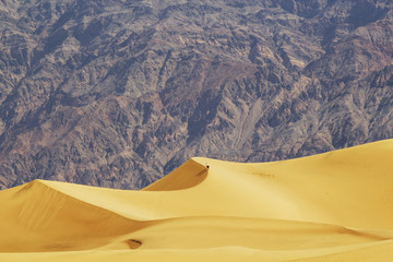 Fototapeta na wymiar Yellow Mesquites Sand Dune, California, Death Valley, USA