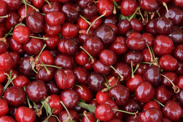 fresh cherries