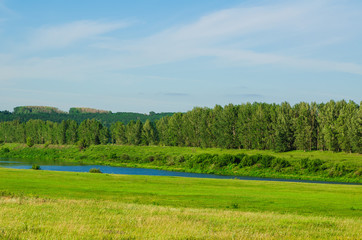 stream river flows on green dale
