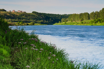 stream river flows on green dale