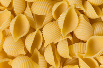conchiglie pasta shell