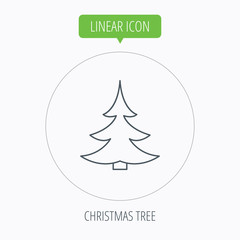 Fototapeta na wymiar Christmas fir tree icon. Spruce sign.