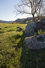 Cerro de San Juan. Higuera de las Dueñas. Avila. España.