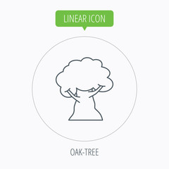 Oak tree icon. Forest wood sign.