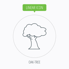 Oak tree icon. Forest wood sign.