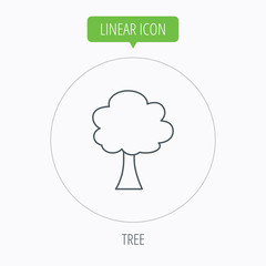 Tree icon. Forest wood sign.